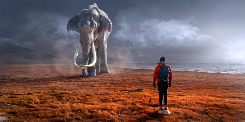 Time-Travel Encounters