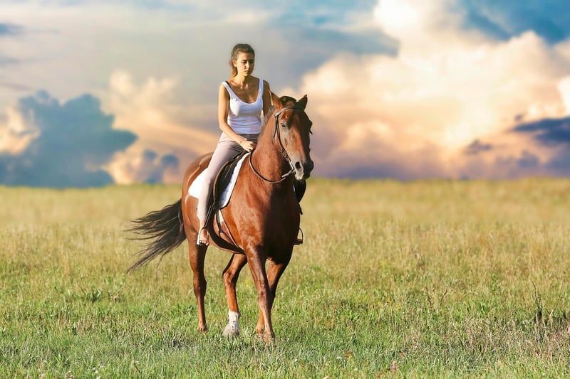 Wild West